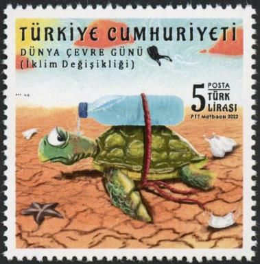 Turtle Trapped in Desert