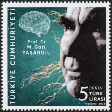 Mahmut Gazi Yaşargil, Neurosurgeon