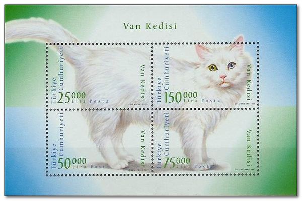 Turkish Van (Felis silvestris catus)