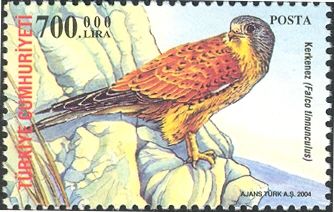 Birds of Prey