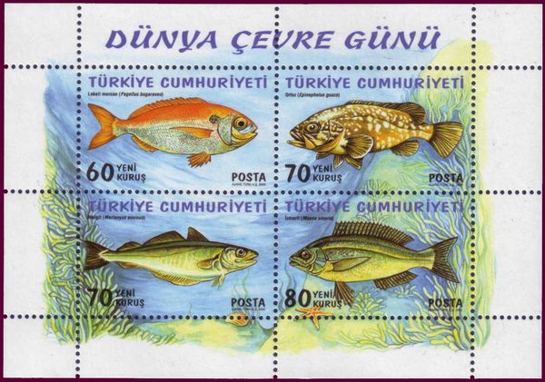 Fishes
