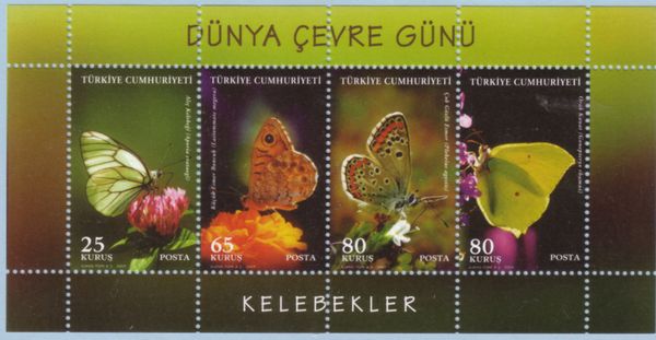 Butterflies