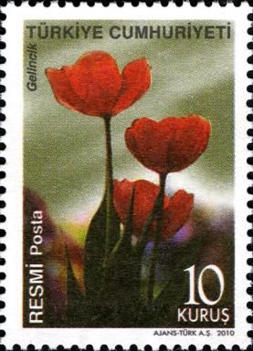 Poppy