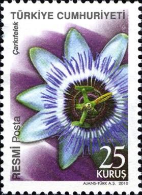 Passionflower
