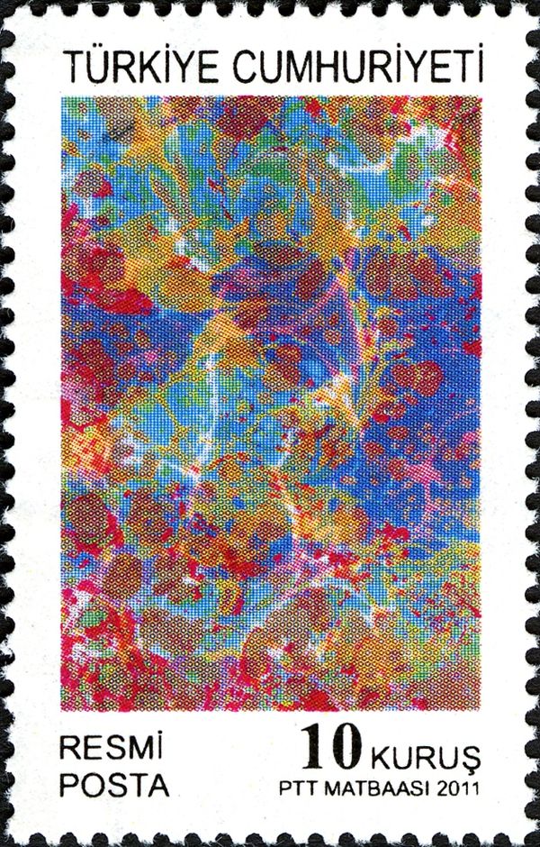 Patterns of Marbling