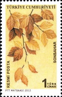 Autumn