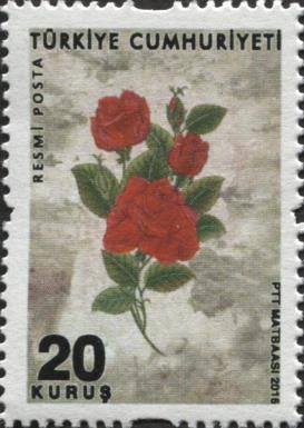 Sukufe (Miniaturised Rose Illustration)