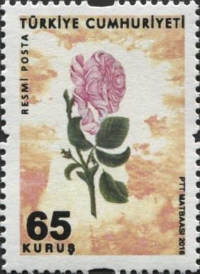 Roses