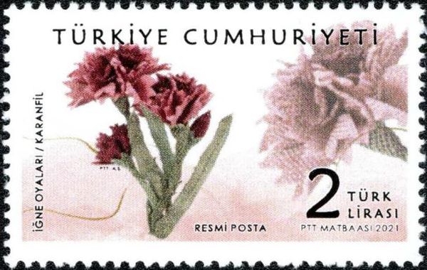 Carnation (Dianthus caryophyllus)