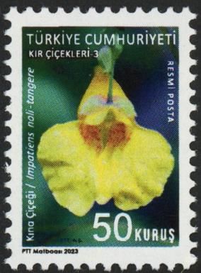 Impatiens noli-tangere