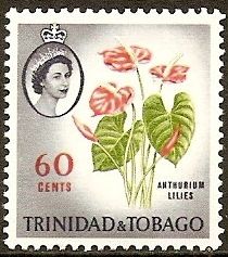 Anthurium Lilies (Anthurium sp.)