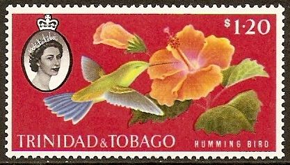 Copper-rumped Hummingbird (Saucerottia tobaci)