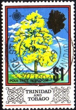 Poui Tree in Bloom