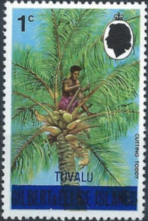 Weaving Coconut Screens