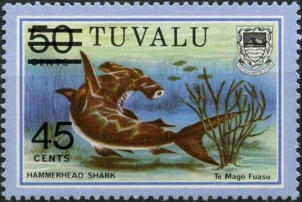 Hammerhead Shark (Sphyrna sp.) - Surcharged
