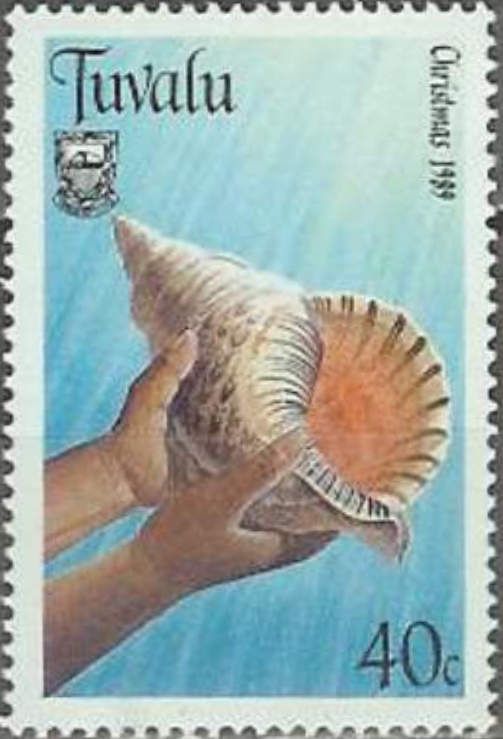 Trametes muelleri