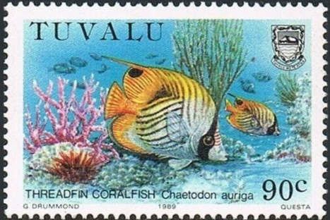 Threadfin Coralfish (Chaetodon auriga)