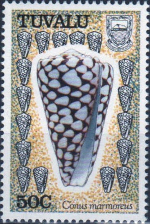 Marbled Cone (Conus marmoreus)