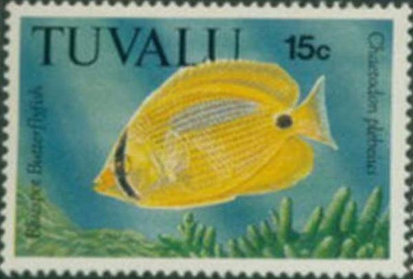 Blue-spotted Butterflyfish (Chaetodon plebeius)