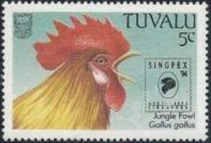 Red Junglefowl (Gallus gallus) - logo overprint