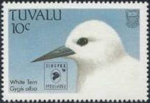 White Tern (Gygis alba) - logo overprint