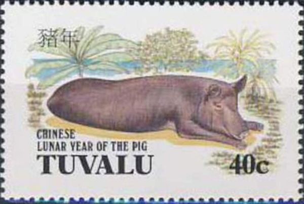 Chinese Lunar Year of the Pig