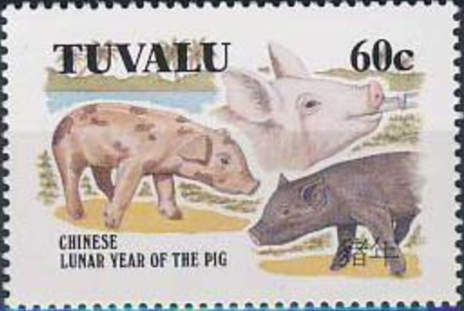 Chinese Lunar Year of the Pig