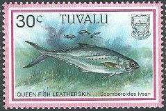 Doublespotted Queenfish (Scomberoides lysan)