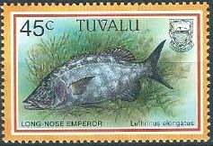 Longnose Emperor (Lethrinus elongatus)