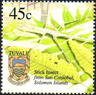 Stick Insect