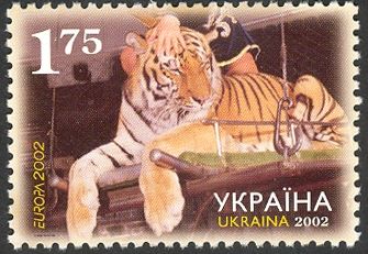 Tiger (Panthera tigris)