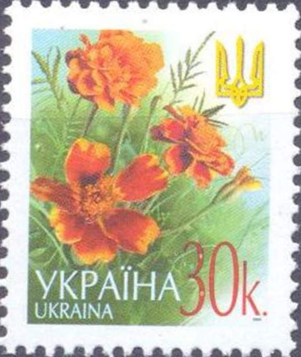 Marigolds