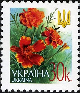 Marigolds