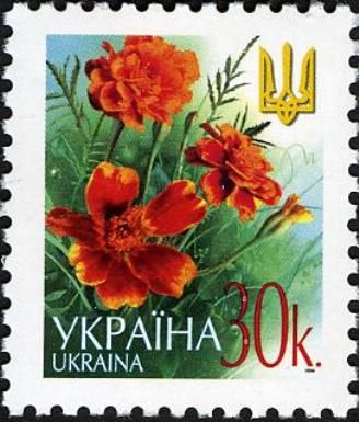 Marigolds