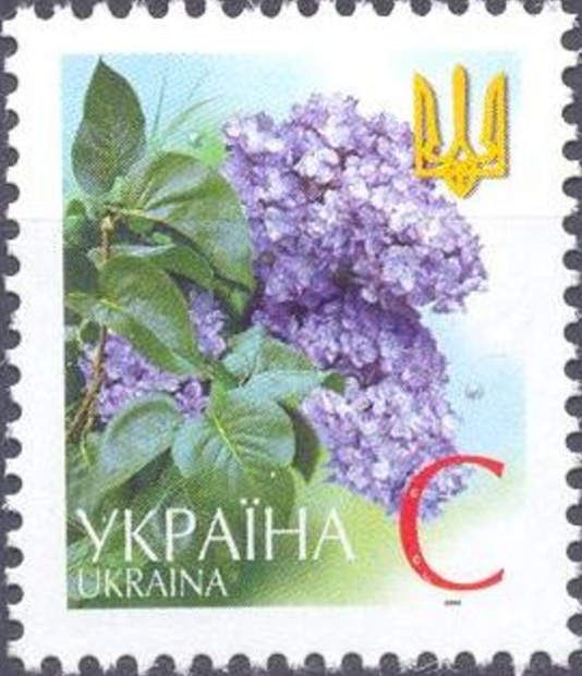 Lilac