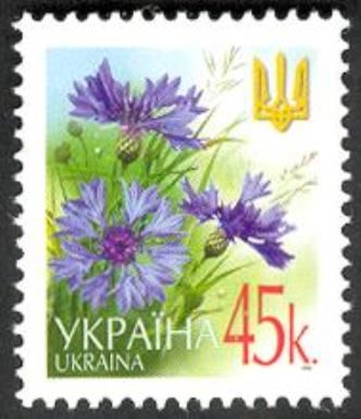 Cornflower (Centaurea cyanus)