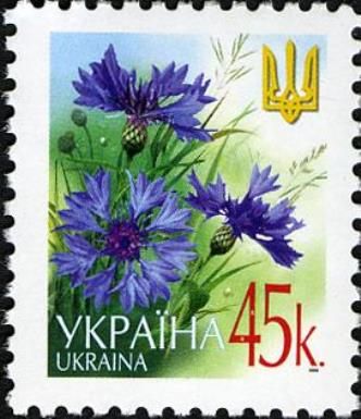 Cornflowers