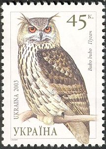 Eurasian Eagle-owl (Bubo bubo)