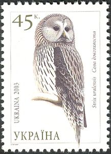 Ural Owl (Strix uralensis)