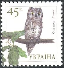 Scops Owl (Otus scops)