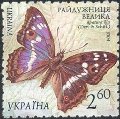 Lesser Purple Emperor (Apatura ilia)