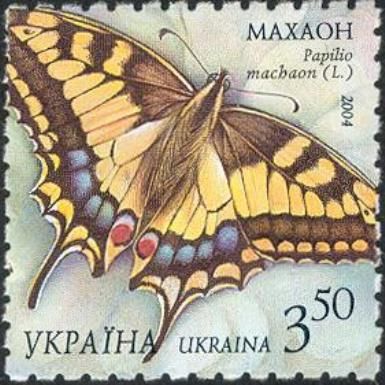 Swallowtail (Papilio machaon)
