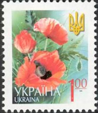 Poppy - Papaver