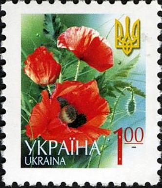Poppy - Papaver