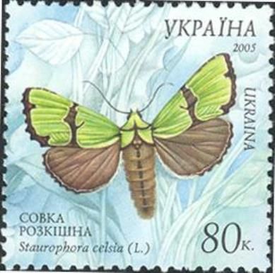 Malachite Moth (Staurophora celsia)