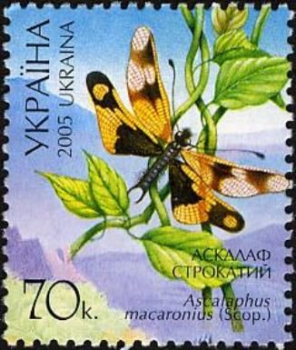 Owlfly (Ascalaphus macaronius)