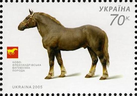 Novooleksandrivskyi Cart-horse (Equus ferus caballus)