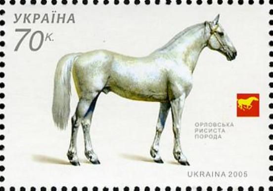 Orlovsky Trotter (Equus ferus caballus)