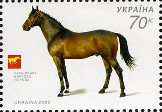 Ukrainian Saddle-horse (Equus ferus caballus)