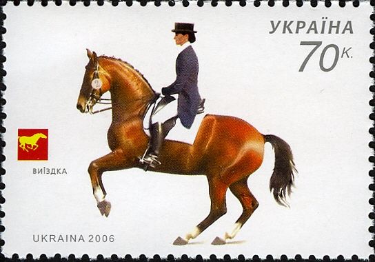 Dressage